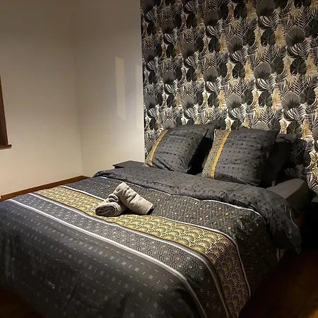 Centre 50m2 Apartment Leforest